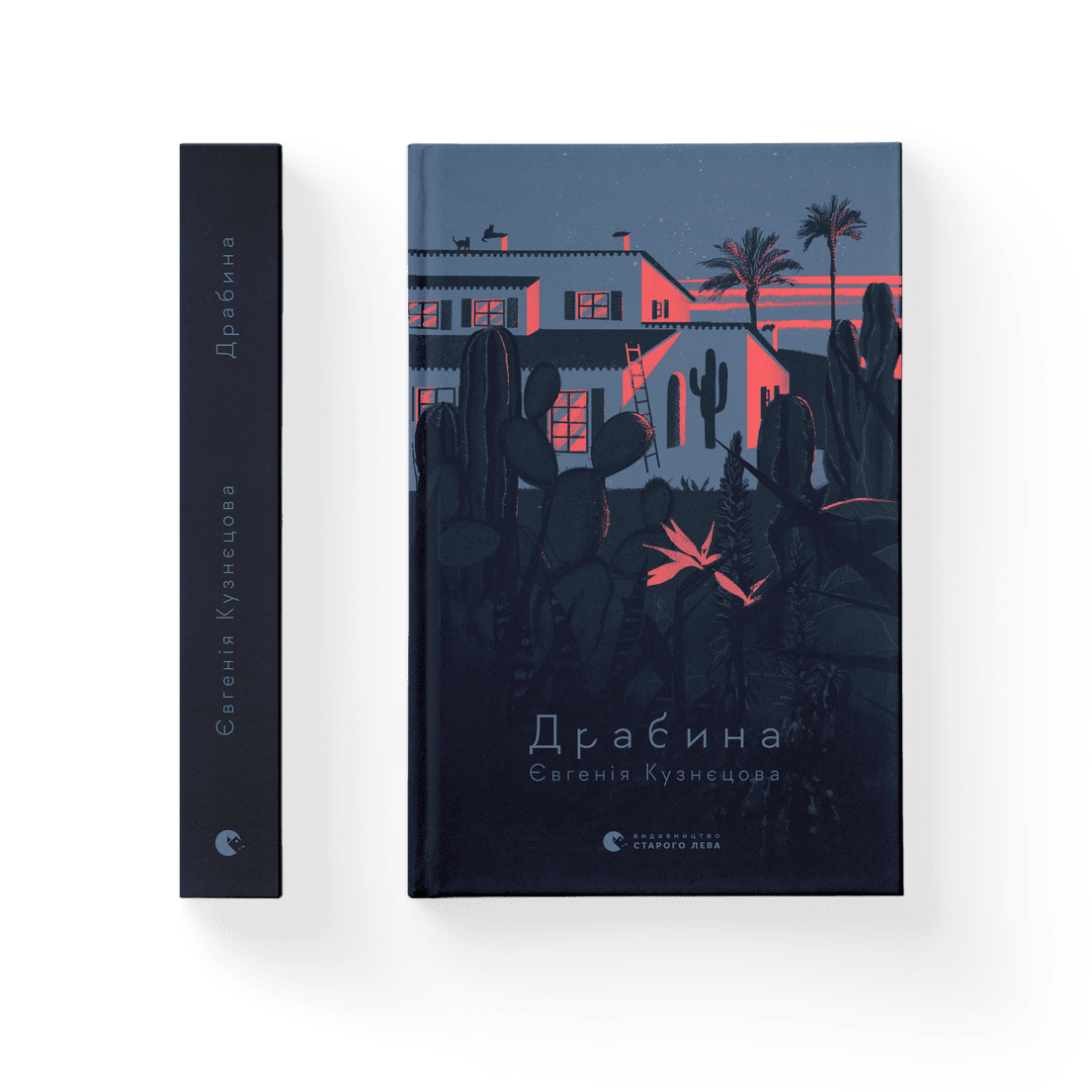 Обкладинка книги Драбина